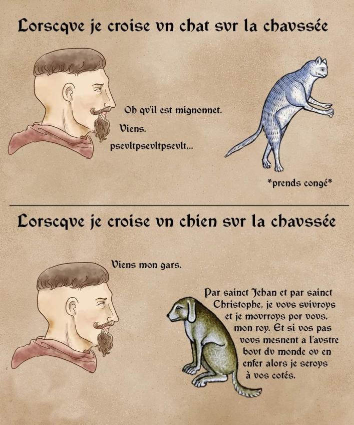 Name:  20220716_112550.jpg
Views: 55
Size:  95.1 KB