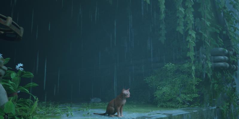 Name:  Stray2.jpg
Views: 261
Size:  27.2 KB