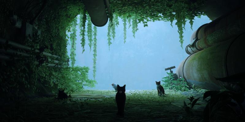 Name:  Stray1.jpg
Views: 246
Size:  39.3 KB