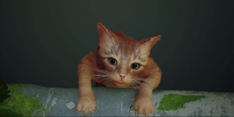 Name:  Stray5.jpg
Views: 241
Size:  20.1 KB