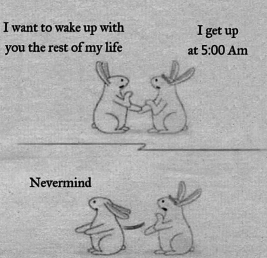 Name:  Lapinou_5AM.jpg
Views: 39
Size:  81.1 KB