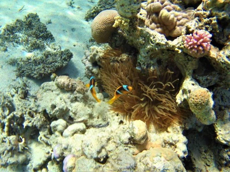 Name:  1.jpg
Views: 48
Size:  99.7 KB