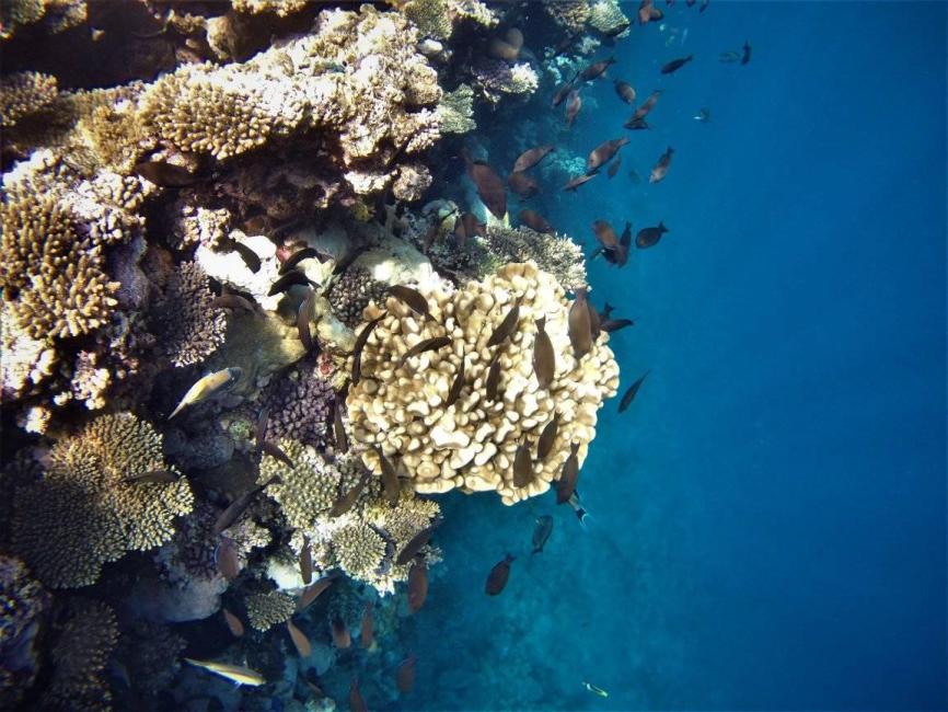 Name:  2.jpg
Views: 48
Size:  96.7 KB