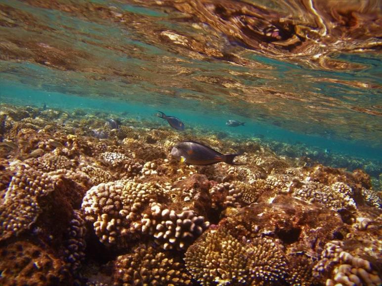 Name:  3.jpg
Views: 49
Size:  99.9 KB