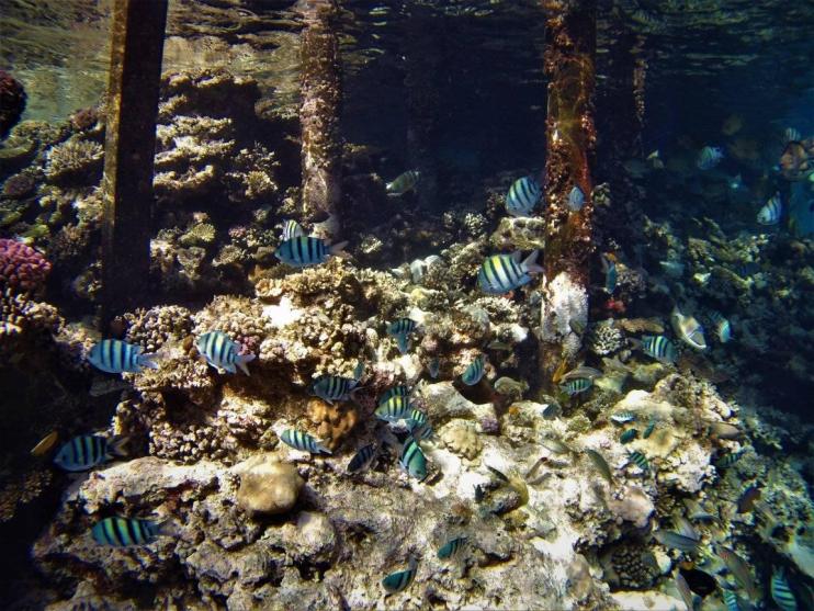 Name:  4.jpg
Views: 45
Size:  100.7 KB