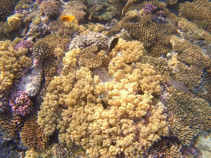 Name:  5.jpg
Views: 49
Size:  104.1 KB