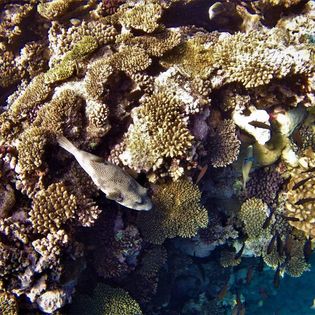 Name:  6.jpg
Views: 48
Size:  37.7 KB