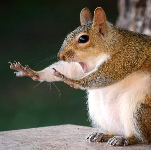 Name:  caption-this-opt2.jpg
Views: 886
Size:  25.6 KB