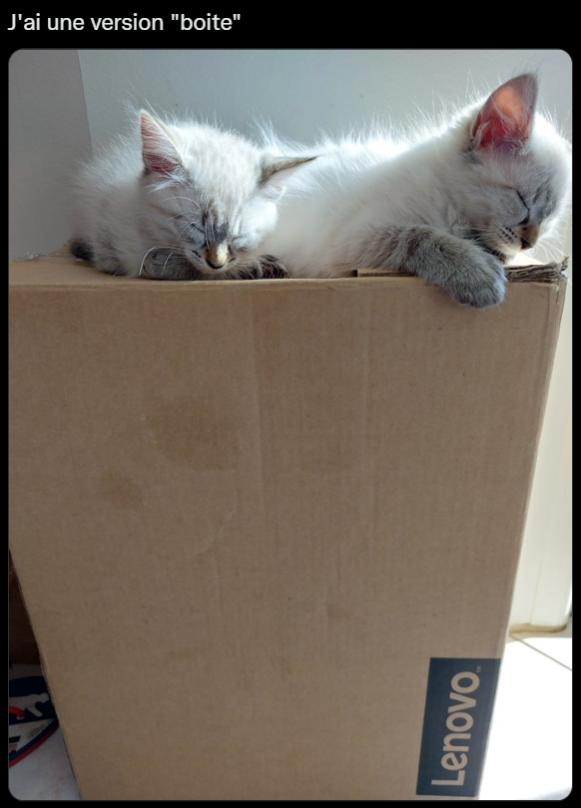 Name:  Fbx295wpWY.jpg
Views: 72
Size:  37.0 KB