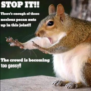 Name:  caption.jpg
Views: 286
Size:  23.0 KB