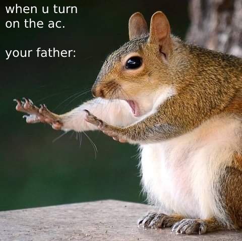 Name:  meme.jpg
Views: 255
Size:  37.1 KB