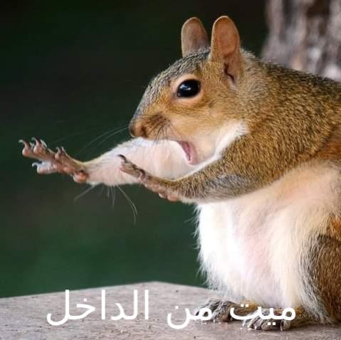 Name:  caption-this-opt2.jpg
Views: 220
Size:  29.4 KB