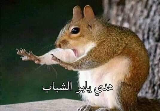 Name:  296662225_5060893297352973_1120986993493294034_n.jpg
Views: 524
Size:  23.0 KB