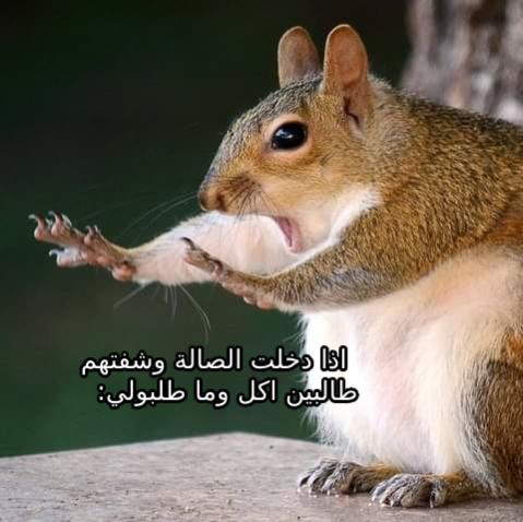 Name:  attachment.jpg
Views: 93
Size:  32.7 KB