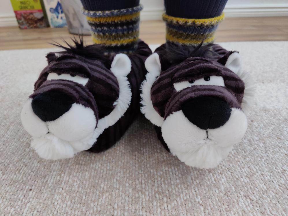 Name:  IMG_20220310_170034.jpg
Views: 80
Size:  89.9 KB