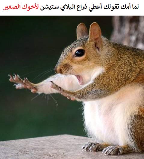 Name:  caption-this-opt2-.jpg
Views: 68
Size:  35.8 KB