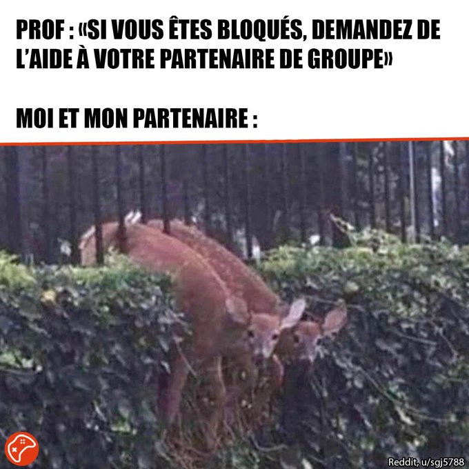 Name:  20220816_093839.jpg
Views: 36
Size:  80.2 KB