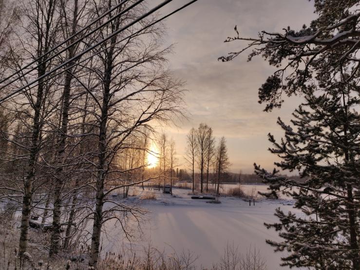 Name:  winter wonderland.jpg
Views: 52
Size:  100.5 KB