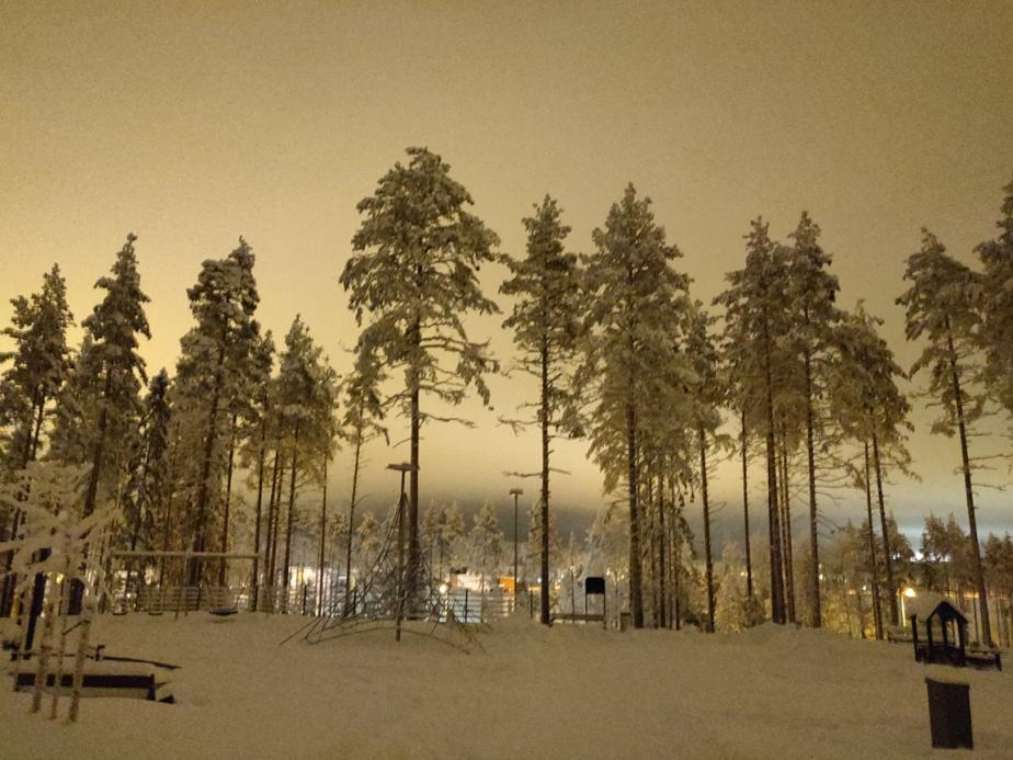 Name:  winter park.jpg
Views: 52
Size:  94.8 KB