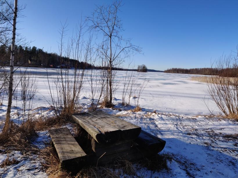 Name:  winter bench.jpg
Views: 53
Size:  97.4 KB