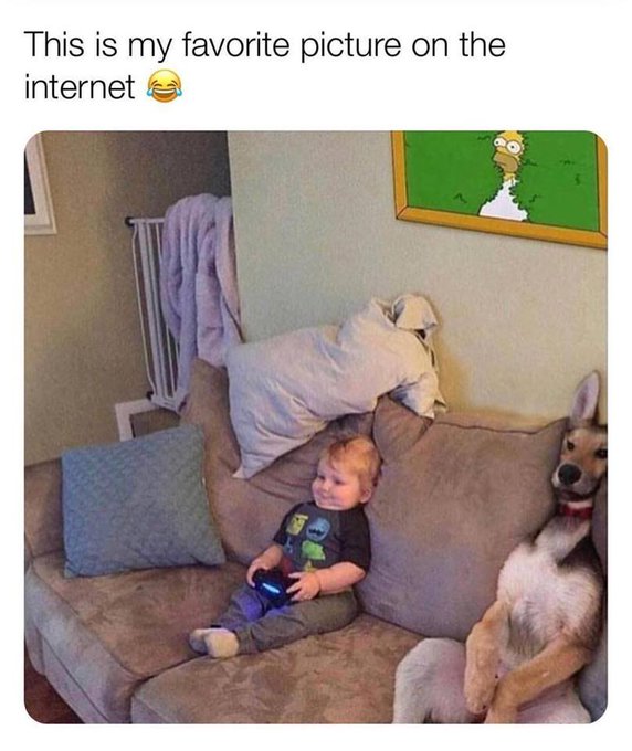 Name:  FZ9_gJDXgAA3Ggv.jpg
Views: 37
Size:  60.3 KB