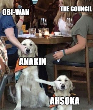 Name:  20220819_182958.jpg
Views: 50
Size:  27.4 KB