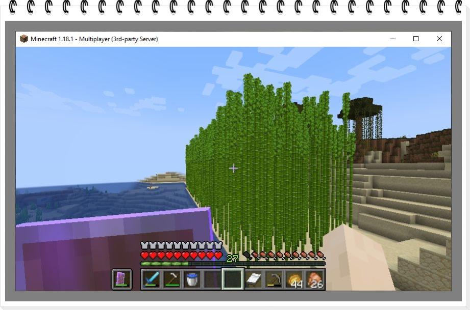 Name:  canne.jpg
Views: 69
Size:  78.5 KB