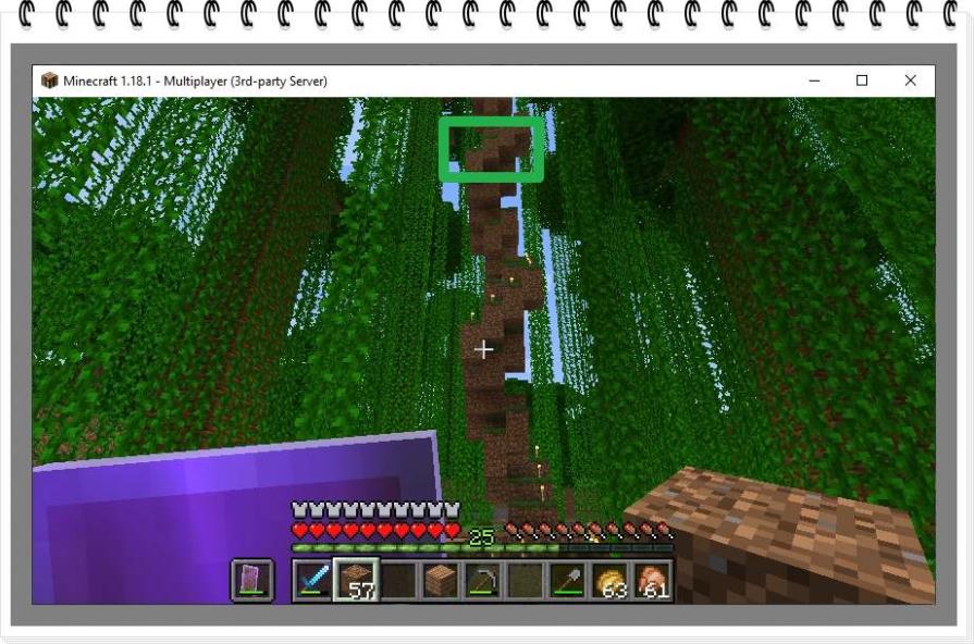 Name:  scaladoppiaelica.jpg
Views: 56
Size:  101.0 KB