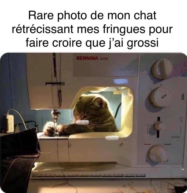 Name:  20220822_193243.jpg
Views: 31
Size:  65.9 KB