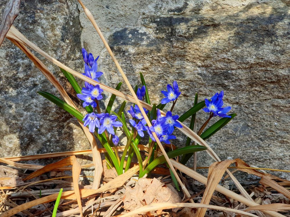 Name:  20210330_140512.jpeg
Views: 116
Size:  235.3 KB