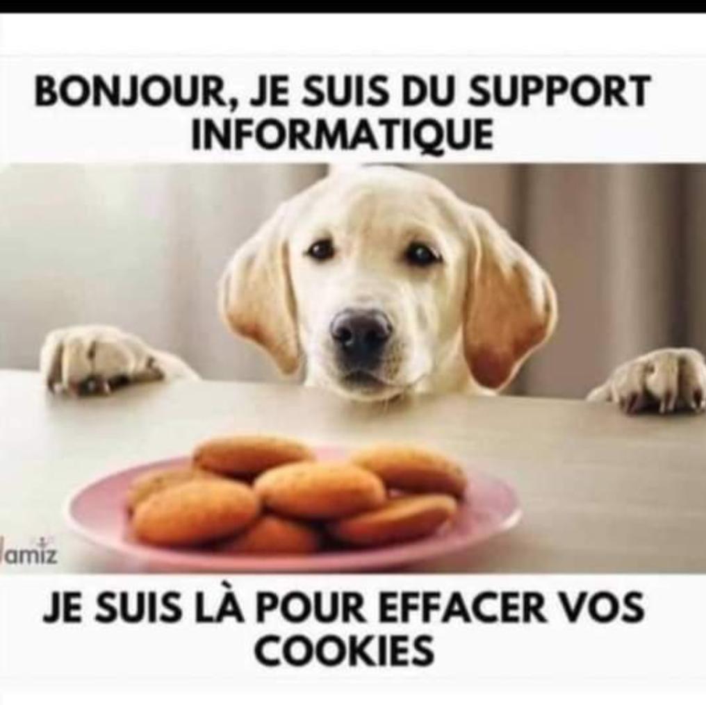 Name:  Cookies.jpg
Views: 19
Size:  72.1 KB