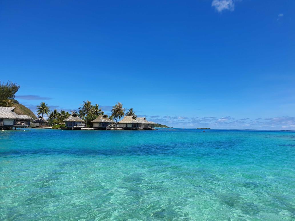 Name:  20190913_140916.jpg
Views: 38
Size:  96.5 KB