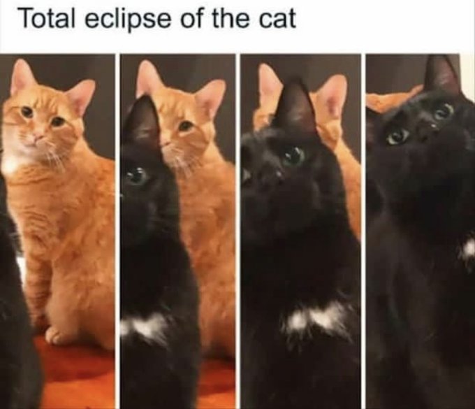 Name:  20220829_124459.jpg
Views: 45
Size:  44.9 KB