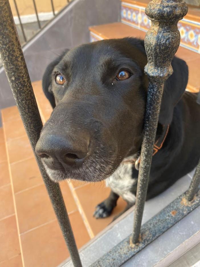 Name:  ariel.jpg
Views: 338
Size:  78.8 KB