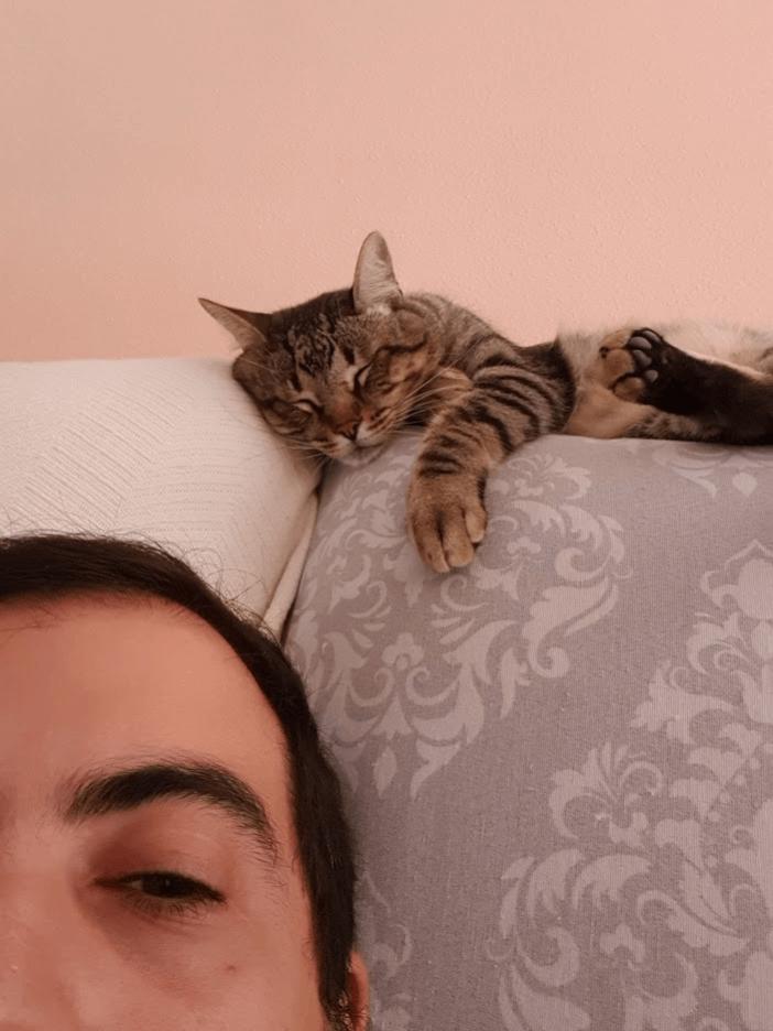 Name:  image3.jpg
Views: 339
Size:  60.5 KB