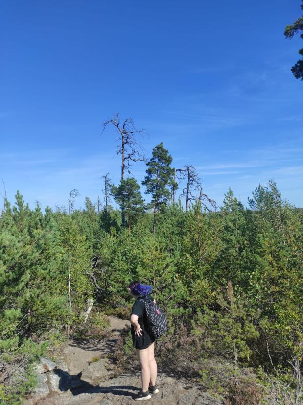 Name:  IMG-20220814-WA0012.jpg
Views: 64
Size:  97.5 KB