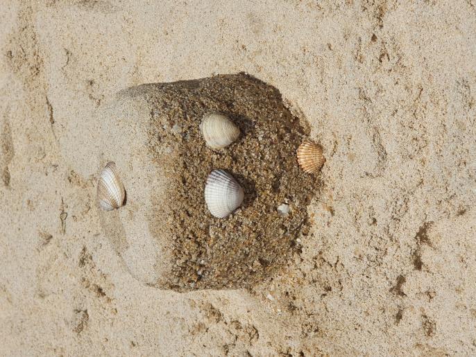 Name:  20220806_133319.jpg
Views: 74
Size:  96.2 KB