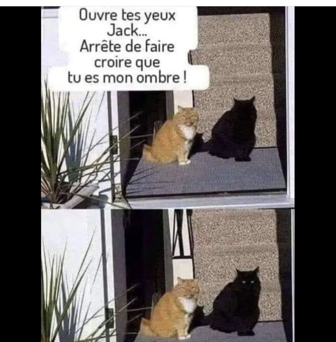 Name:  FcELlSRWYAMKyPQ.jpg
Views: 39
Size:  73.6 KB