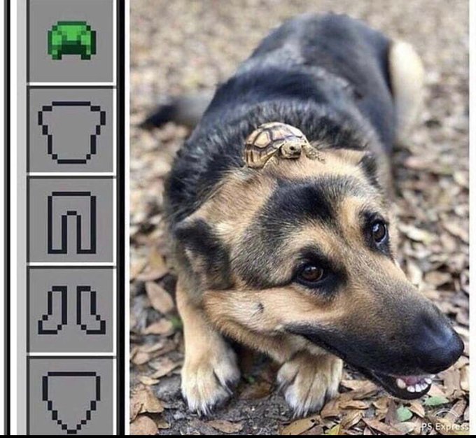 Name:  20220914_210225.jpg
Views: 18
Size:  84.7 KB