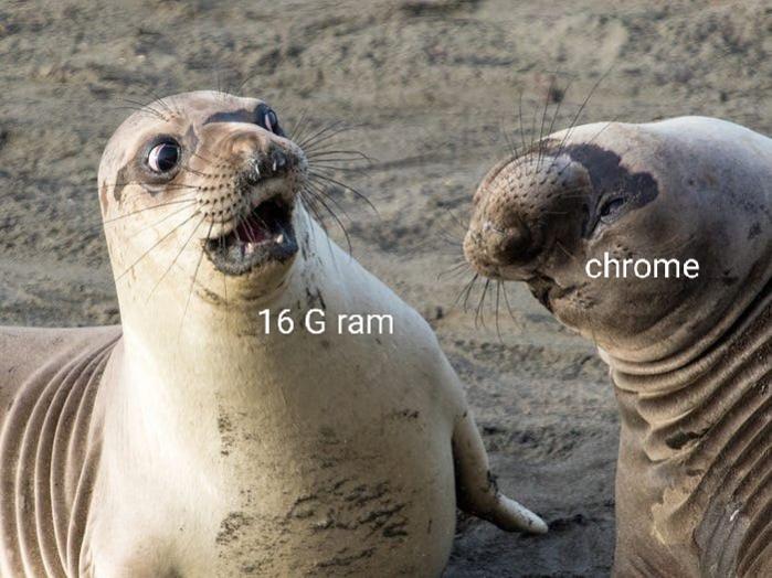 Name:  IMG_20220916_172702.jpg
Views: 150
Size:  63.0 KB