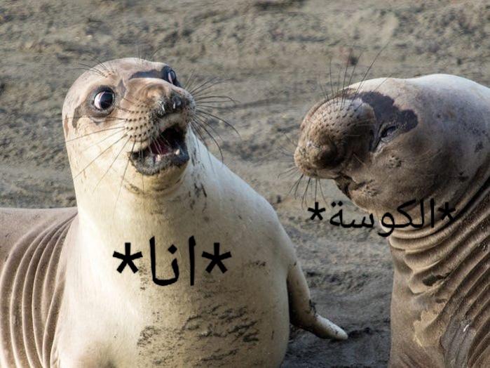 Name:  IMG_20220916_173340.jpg
Views: 149
Size:  63.6 KB