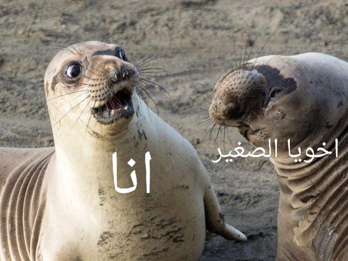 Name:  IMG_20220916_174351.jpg
Views: 140
Size:  63.8 KB