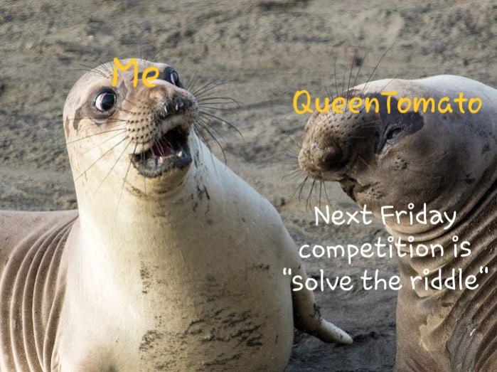 Name:  ٢٠٢٢٠٩١٦_١٩٢١٤٦.jpg
Views: 238
Size:  65.9 KB