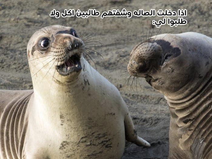 Name:  image.psd(1).jpg
Views: 127
Size:  64.8 KB