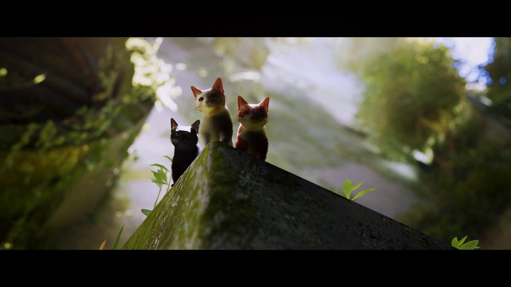 Name:  3 (1).jpg
Views: 45
Size:  82.4 KB