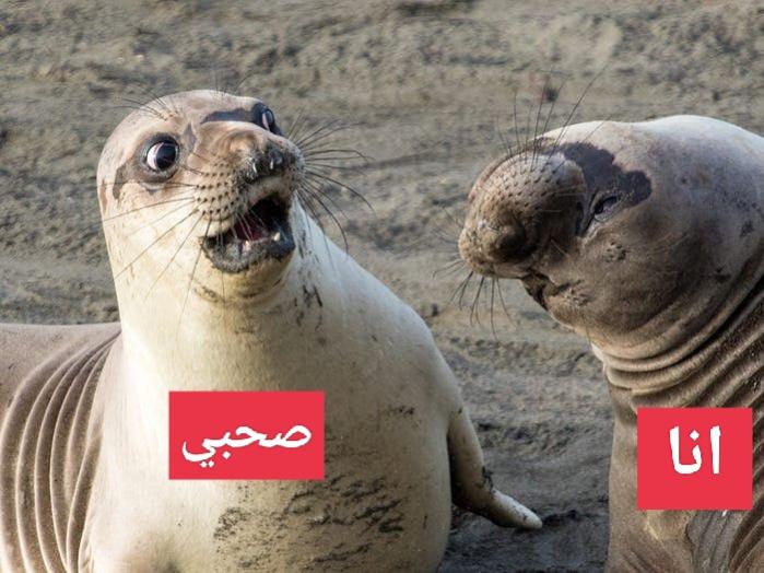 Name:  IMG_20220923_085557.jpg
Views: 151
Size:  61.3 KB