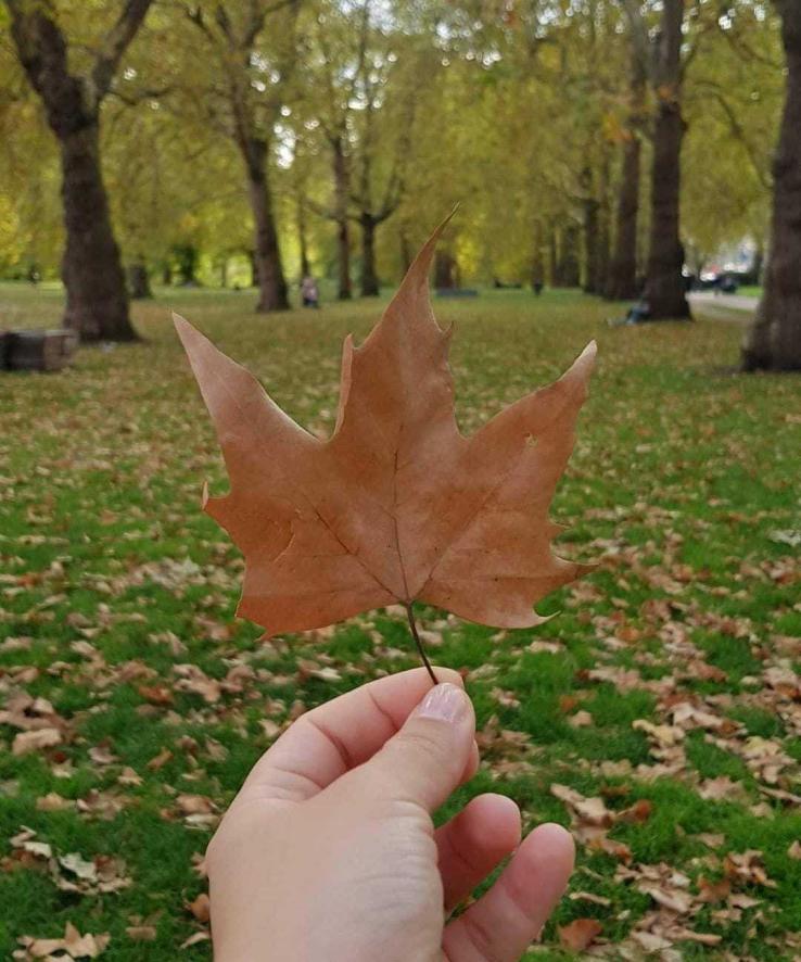 Name:  IMG-20220923-WA0010.jpg
Views: 191
Size:  91.9 KB