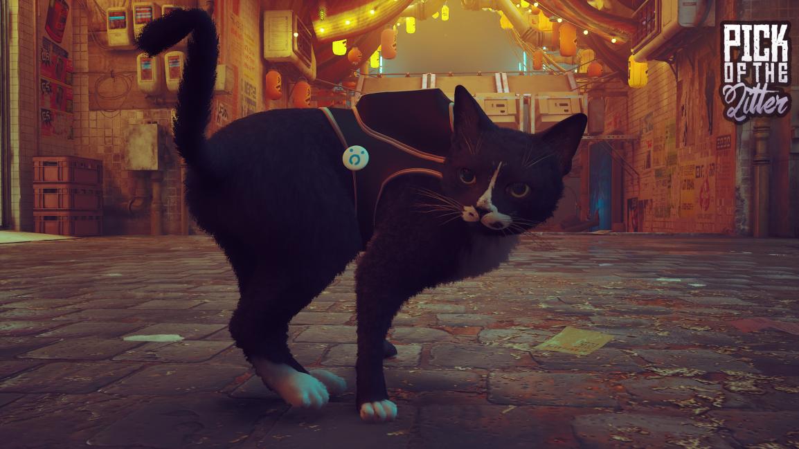 Name:  sam.jpg
Views: 122
Size:  96.8 KB