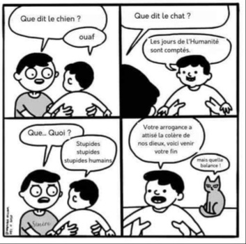 Name:  20220923_155003.jpg
Views: 53
Size:  43.9 KB