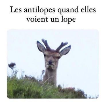 Name:  20220918_150453.jpg
Views: 55
Size:  16.0 KB